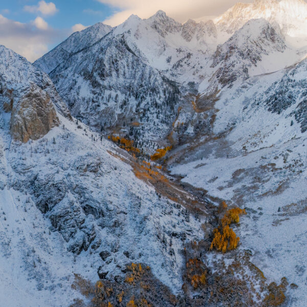 McGee Foliage | Mammoth Lakes, CA