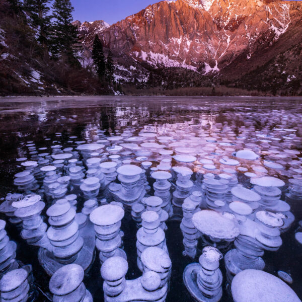 Convict Lake Ice Bubbles | Mammoth Lakes, CA